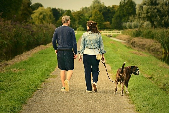 Man en vrouw die samen met hun hond wandelen